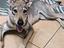 Immagine 3