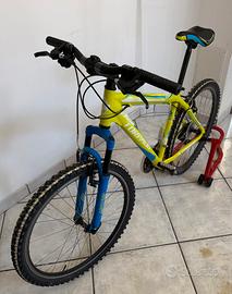 Mountain bike Tornado