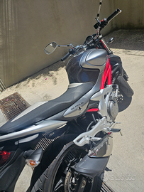 Gladius 650