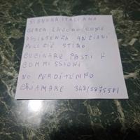 Assistenza anziani badante pulizie lavapiatti