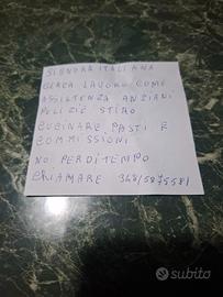 Assistenza anziani badante pulizie lavapiatti