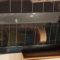 2 Gabbie per criceti 100x50x50 complete