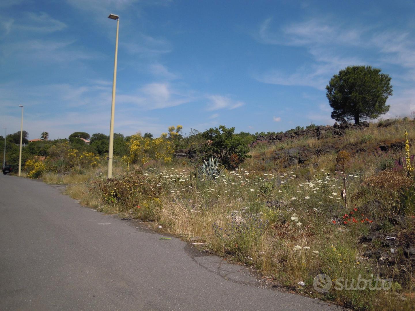 Terreno 3.000 mq zona C con prospetto strada - Vista 3