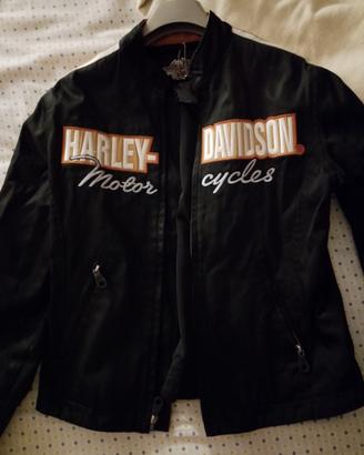 giubbino Harley  davidson 