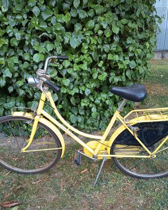Bici donna Bologna