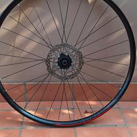 ruota posteriore mtb 29'