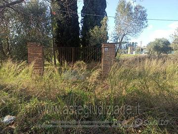 Terreno Agricolo Velletri [A4294876]