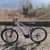 Ebike kellys