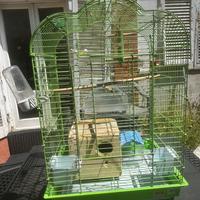 Gabbia per pappagalli