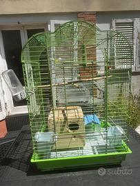 Gabbia per pappagalli