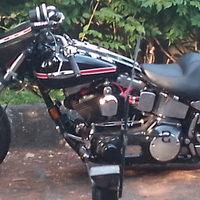Harley Softail eautoUSApermuto