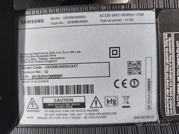 scheda alimentazione Samsung 55 pollici curvo