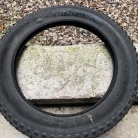 Copertone da 20 pollici