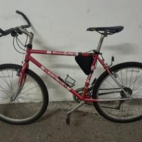 Bici montain bike