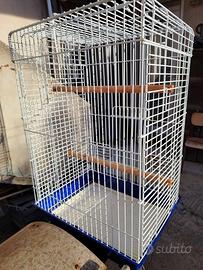 Gabbia uccelli