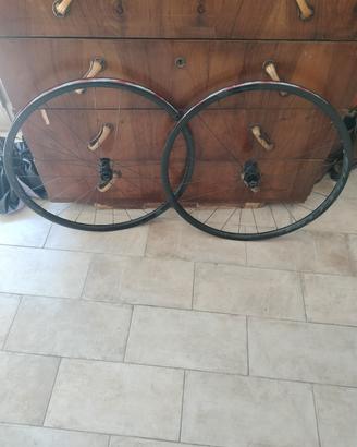 Ruote FULCRUM Colnago Shimano Bryton 