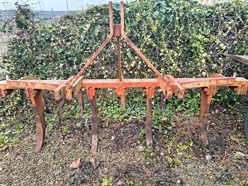 estirpatore BELTRANI