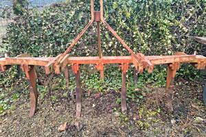 estirpatore BELTRANI