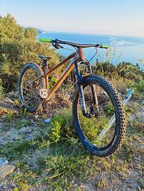 cannondale habit ht 29