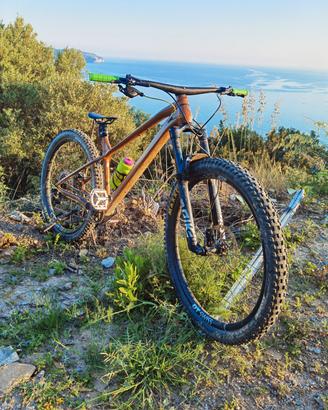 cannondale habit ht 29