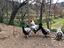 Immagine 4