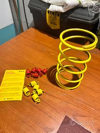 Accessori Malossi per Burgman 400