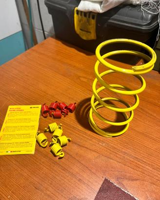 Accessori Malossi per Burgman 400