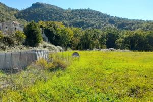 Terreno Agricolo a Riardo (CE) - Zona Panoramica v