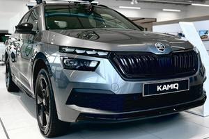 Ricambi Skoda Kamiq Karoq Kodiaq Octavia Fabian 