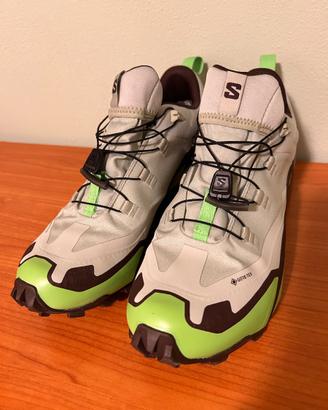 Scarpe Salomon CrossHike 2 GTX