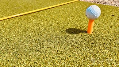 Tappeto pratica golf grande con tee e aste