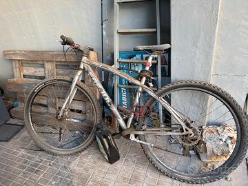 Bicicletta 29