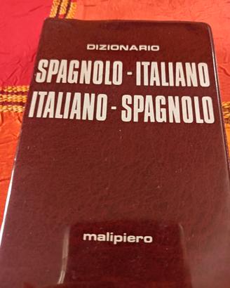 dizionario tascabile 