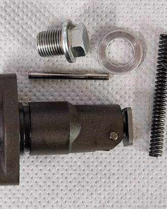 Tenditore Catena Distribuzione ZX6R 
