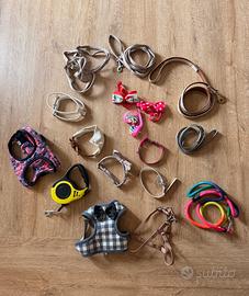 Set per cane di taglia piccola XS - 17 pezzi