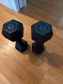 Pesi da palestra