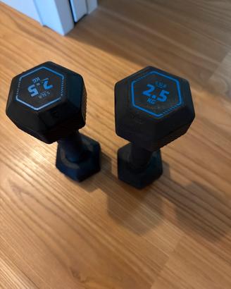 Pesi da palestra