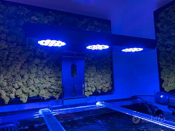 Plafoniera Acquario MicMol G4 Thor Pro 180Watt
