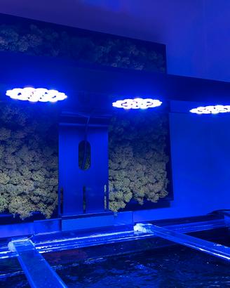 Plafoniera Acquario MicMol G4 Thor Pro 180Watt