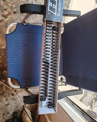 Molle forcelle BMW RnineT Urban Gs originali.