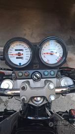 Hornet 600