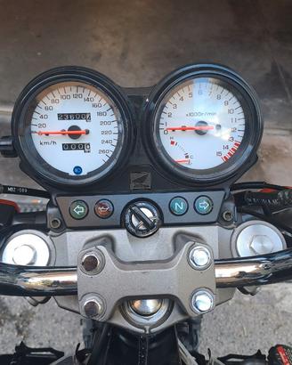 Hornet 600