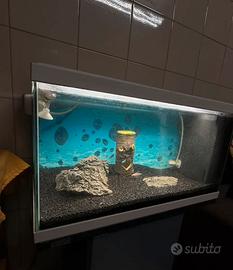 Acquario con mobile