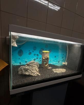 Acquario con mobile
