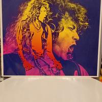 vinile di Robert Plant 