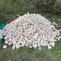 Cubetti di Trani 8x8