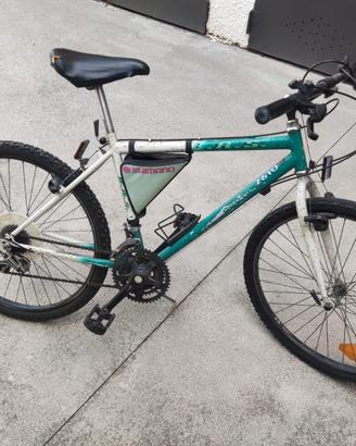 Mountain Bike uomo