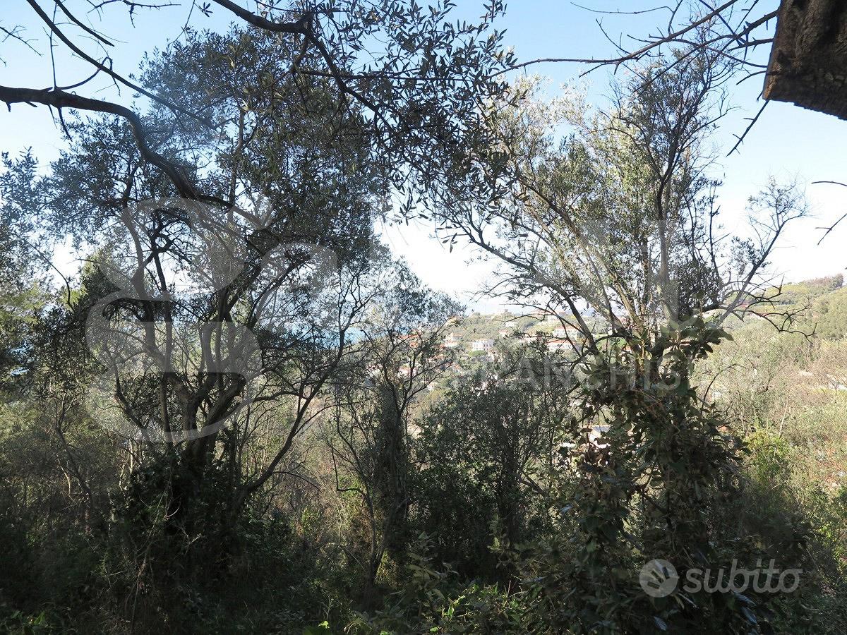 Rustico/Casale/Corte Lerici [629VRG] - Vista 3