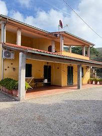 Isola d'elba sul mare appartamenti