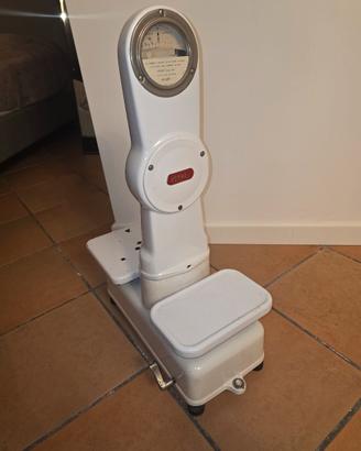 bilancia berkel portata 5 kg 